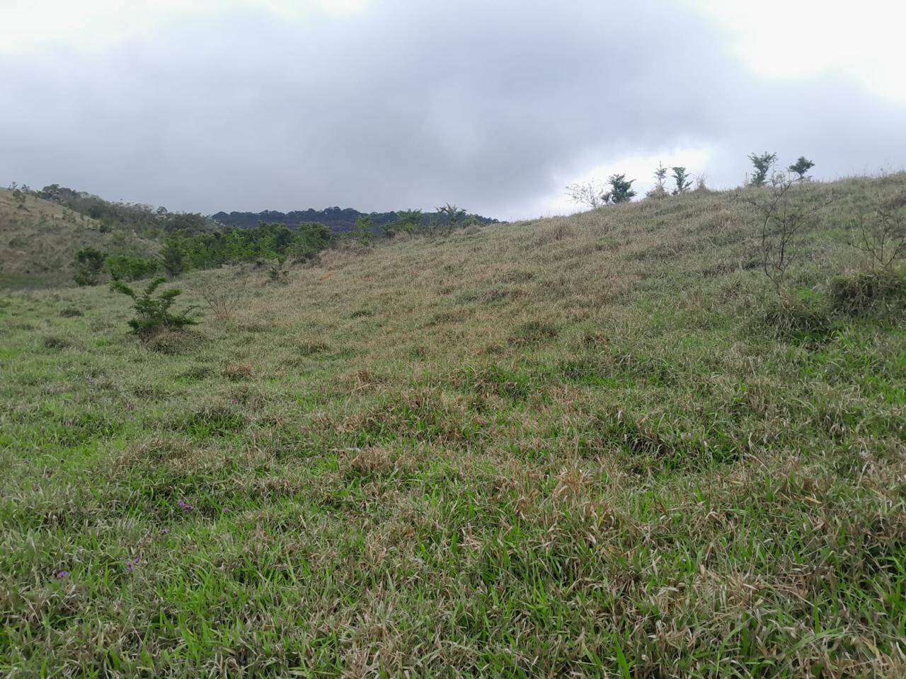 #21 - Sítio para Venda em Paraibuna - SP