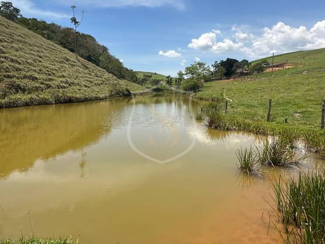 #19 - Sítio para Venda em Paraibuna - SP