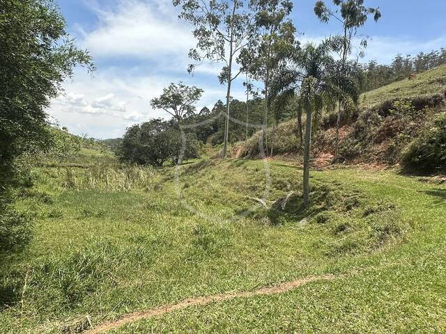 #19 - Sítio para Venda em Paraibuna - SP