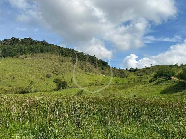 #19 - Sítio para Venda em Paraibuna - SP