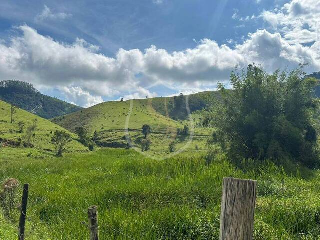 #19 - Sítio para Venda em Paraibuna - SP