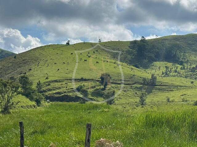 #19 - Sítio para Venda em Paraibuna - SP