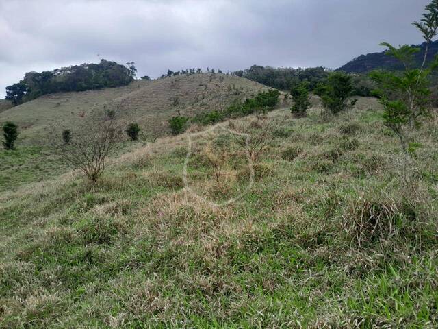 #21 - Sítio para Venda em Paraibuna - SP - 2