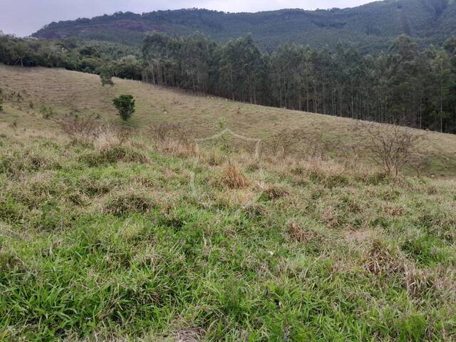 #21 - Sítio para Venda em Paraibuna - SP - 3